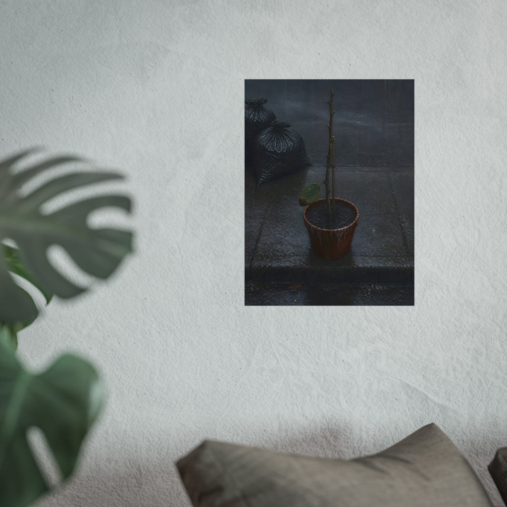A near bare potted plant left out in the rain beside black garbage bags. The First Rain (Houseplant) by Garabaggio, fine art print hanging in a room.