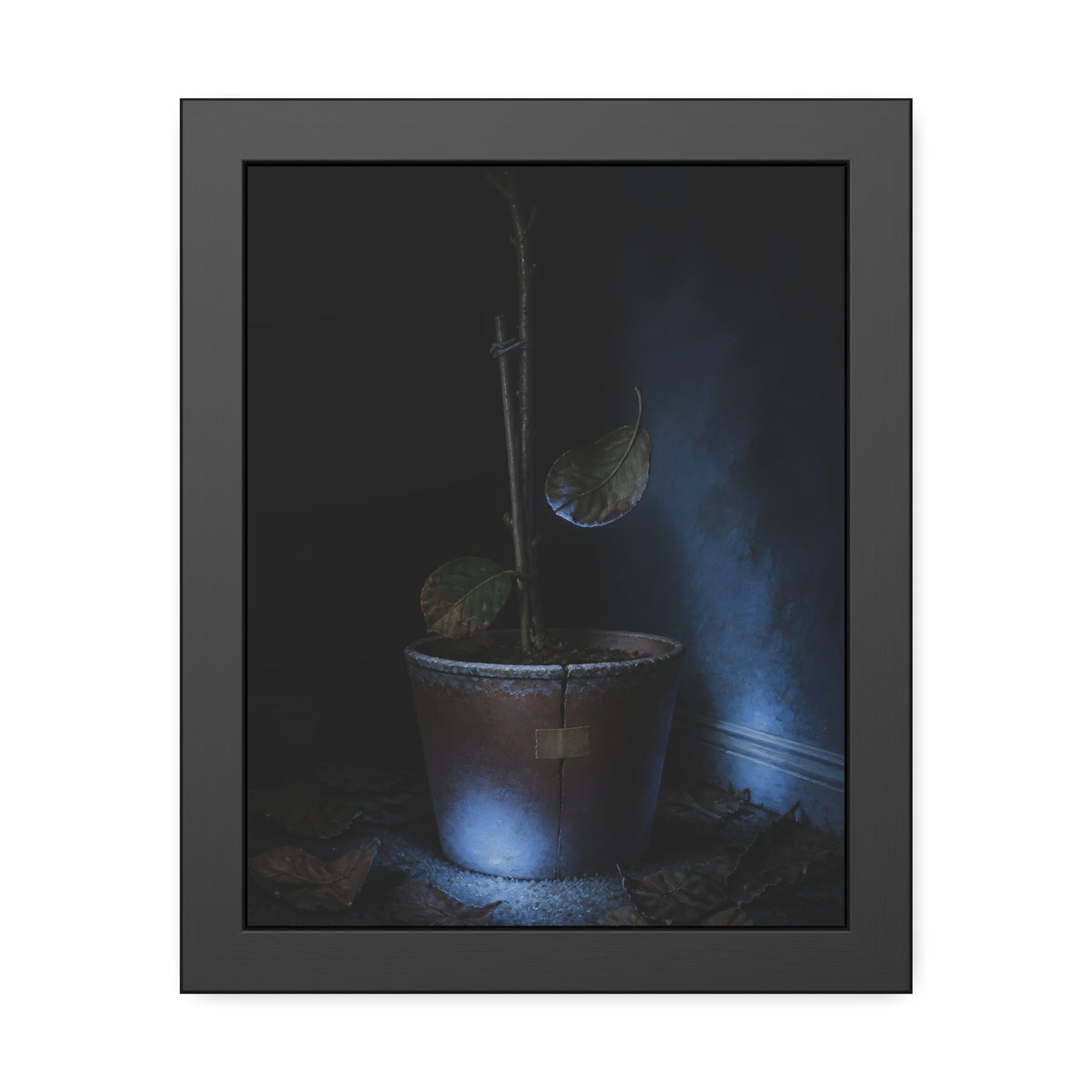 A bare potted plant dropping a leaf, dead leaves on the floor. The Leaf Lets Go by Garabaggio, framed fine art print, 11″ x 14″.