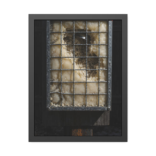 "The Dented Rim": A Garabaggio Framed Print