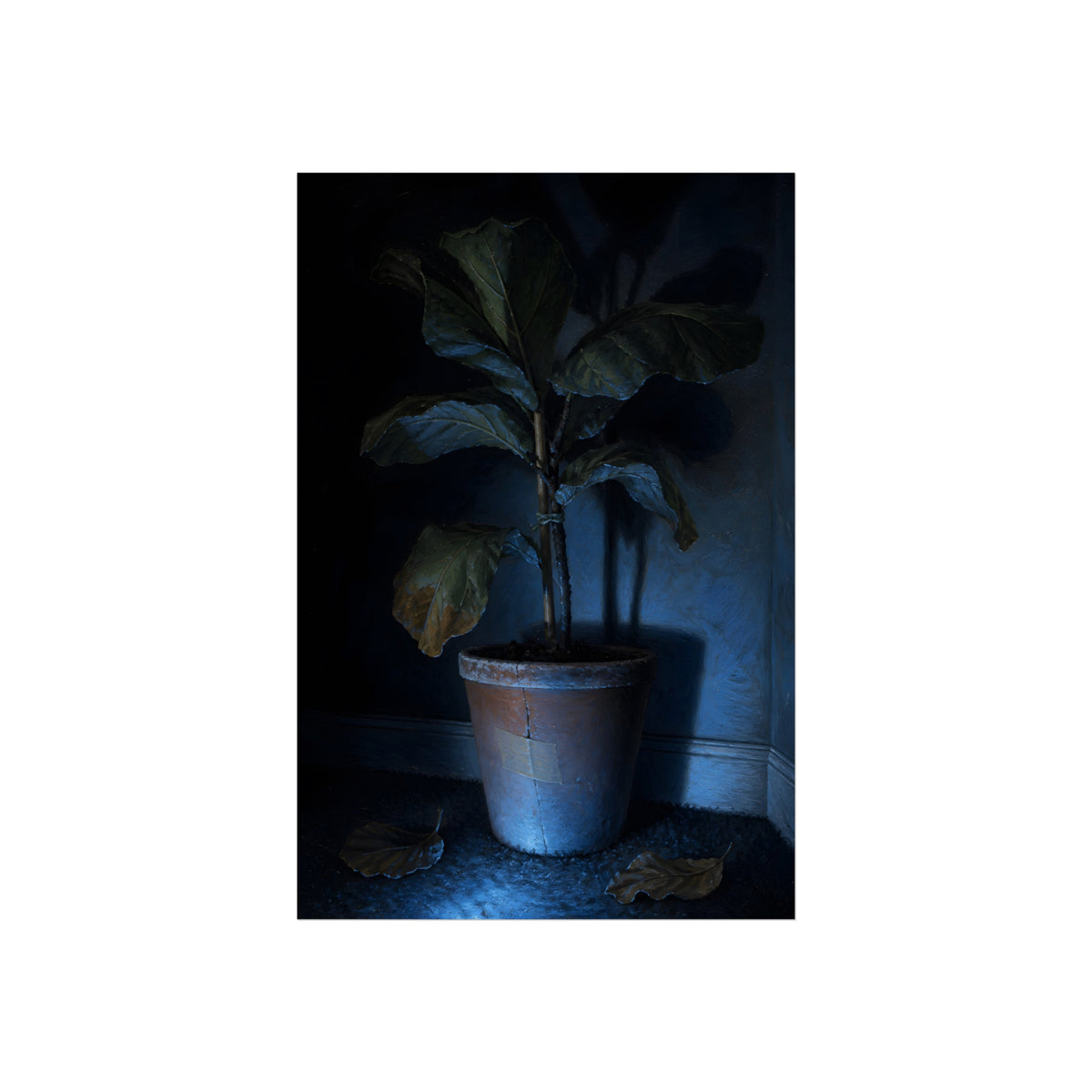 A dying potted plant in a corner washed in blue television light. The Television Hours by Garabaggio, fine art print, 24″ x 36″.