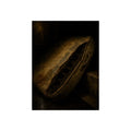 A torn mattress propped on its side, coil springs showing through the split. The Showing of the Springs by Garabaggio, fine art print, 12″ x 16″.