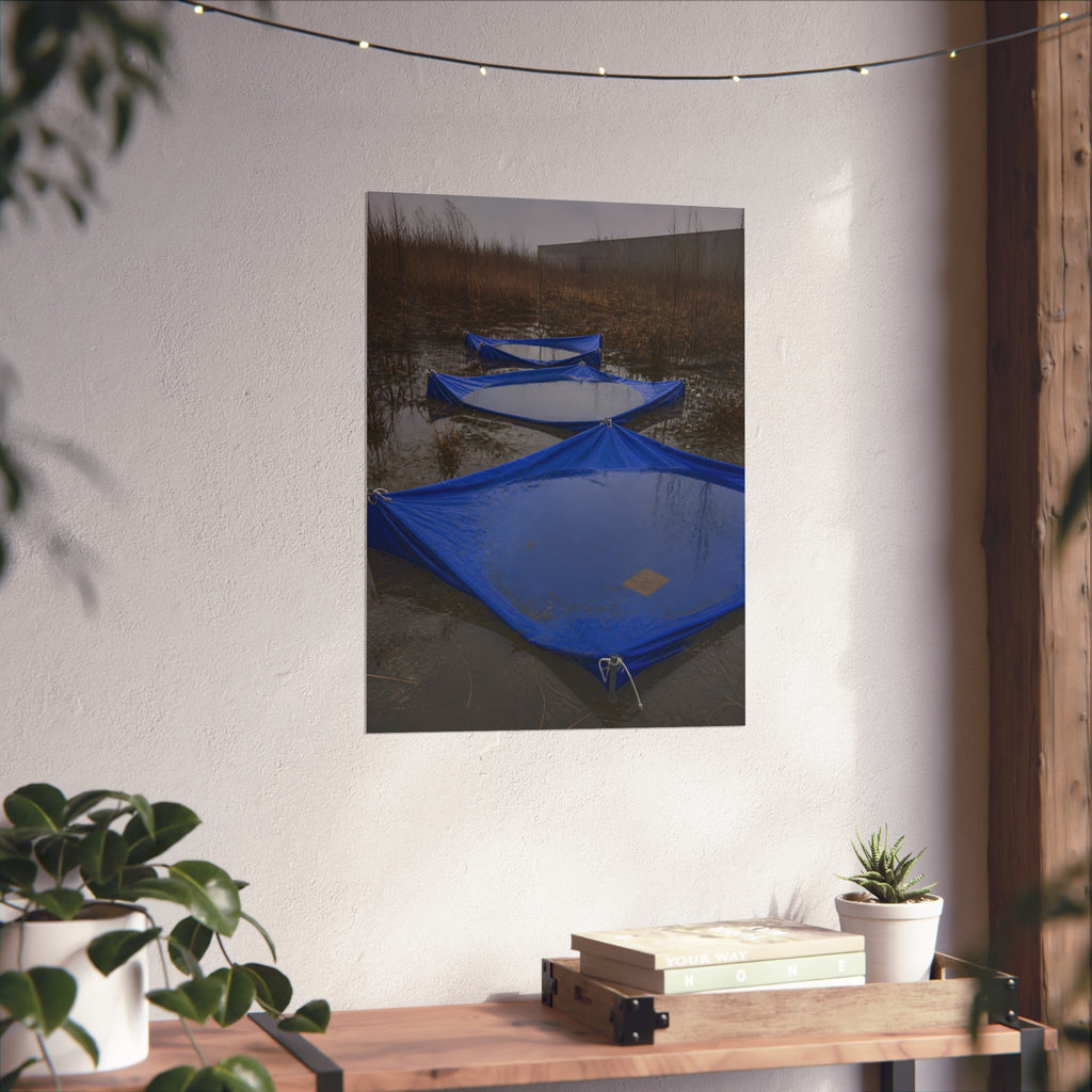 Three blue tarps holding pooled rainwater in a weedy vacant lot. Flooded in the Vacant Lot by Garabaggio, fine art print hanging in a room.