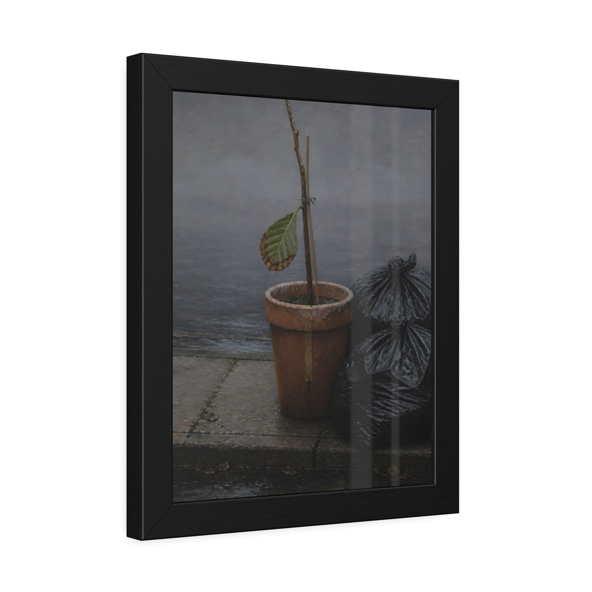 A potted dead twig with one leaf beside black garbage bags on a wet curb. The Curb on Tuesday by Garabaggio, framed fine art print hanging in a room.