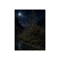 A shopping cart in creekside weeds with a sapling growing up through it. The Cart Grown Through by Garabaggio, fine art print, 12″ x 16″.