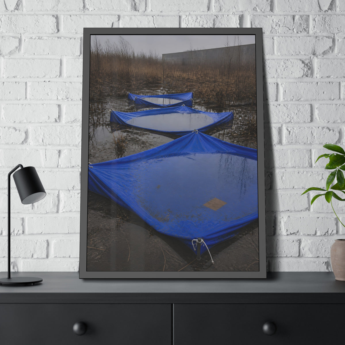 Three blue tarps holding pooled rainwater in a weedy vacant lot. Flooded in the Vacant Lot by Garabaggio, framed fine art print hanging in a room.