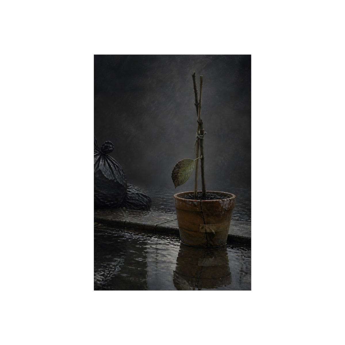 Bare tied stems in a clay pot on flooded pavement, one leaf remaining. The Grey Between by Garabaggio, fine art print, 24″ x 36″.